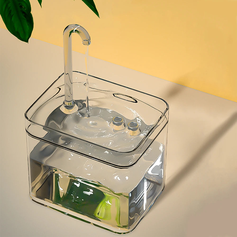 Le Chat-Eau
